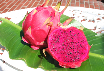 ãã©ã´ã³ãã«ã¼ãì ëí ì´ë¯¸ì§ ê²ìê²°ê³¼