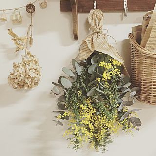 ã¹ã¯ãã°ãã¤ã³ããªã¢ì ëí ì´ë¯¸ì§ ê²ìê²°ê³¼