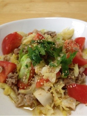 ãããã¨ã­ã£ããã®çãç©ì ëí ì´ë¯¸ì§ ê²ìê²°ê³¼