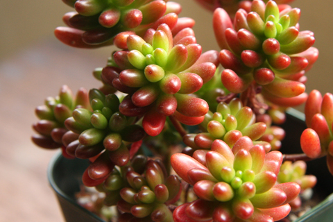 ã»ãã å±ãè¹ã®çì ëí ì´ë¯¸ì§ ê²ìê²°ê³¼