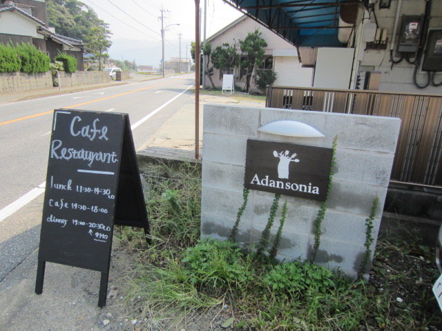 Adansoniaã糸島ì ëí ì´ë¯¸ì§ ê²ìê²°ê³¼