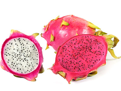 ãã©ã´ã³ãã«ã¼ãì ëí ì´ë¯¸ì§ ê²ìê²°ê³¼