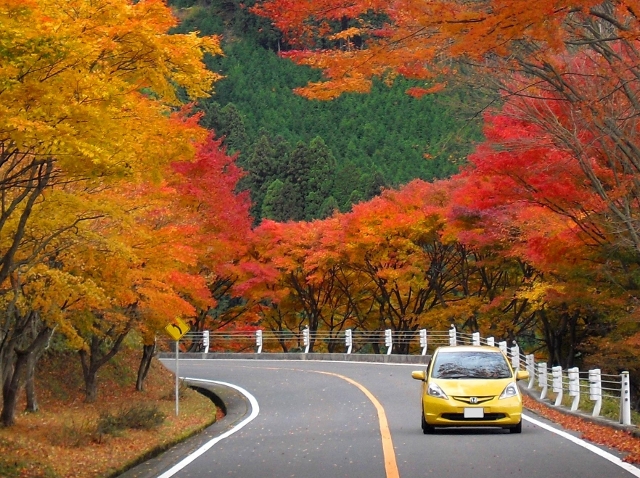 ãã©ã¤ãì ëí ì´ë¯¸ì§ ê²ìê²°ê³¼