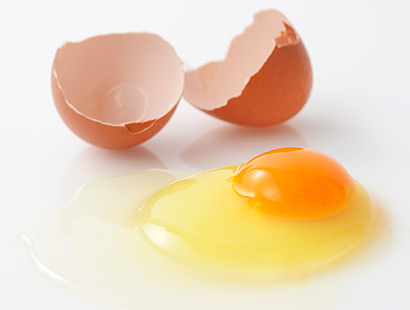 ãåµì ëí ì´ë¯¸ì§ ê²ìê²°ê³¼