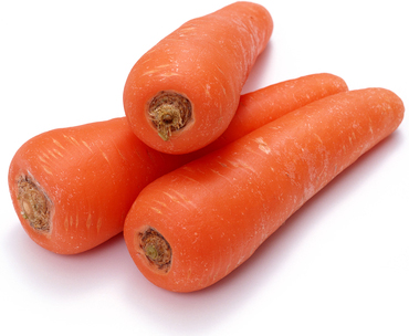 人åì ëí ì´ë¯¸ì§ ê²ìê²°ê³¼