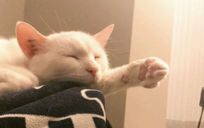 ì¸ì¬ì´í¸