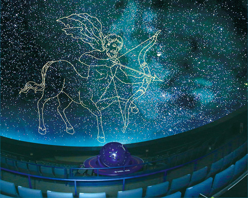 ãã©ãã¿ãªã¦ã ì ëí ì´ë¯¸ì§ ê²ìê²°ê³¼