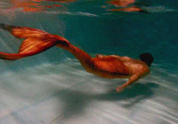 Christian Riel에 대한 이미지 검색결과