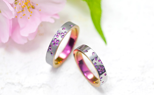 ãæè¼ªì ëí ì´ë¯¸ì§ ê²ìê²°ê³¼