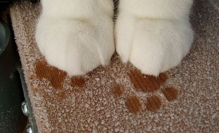 ì¸ì¬ì´í¸