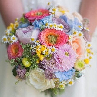 çµå©å¼ãè±ì ëí ì´ë¯¸ì§ ê²ìê²°ê³¼