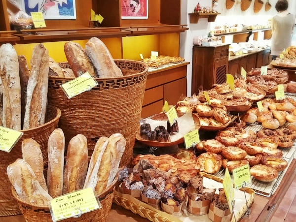 ãã³å±ããì ëí ì´ë¯¸ì§ ê²ìê²°ê³¼