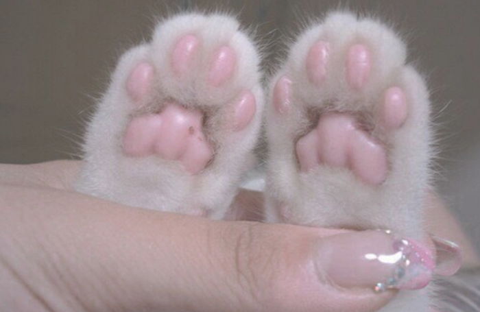 ì¸ì¬ì´í¸