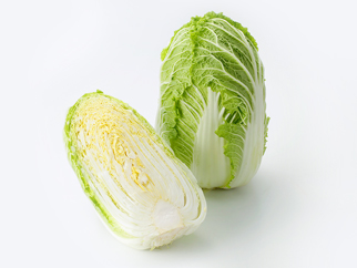 ç½èì ëí ì´ë¯¸ì§ ê²ìê²°ê³¼