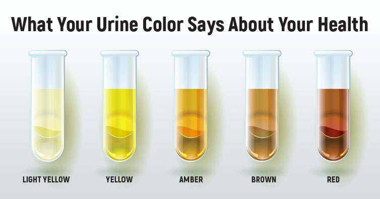 color-of-urine-indicates-your-health-1
