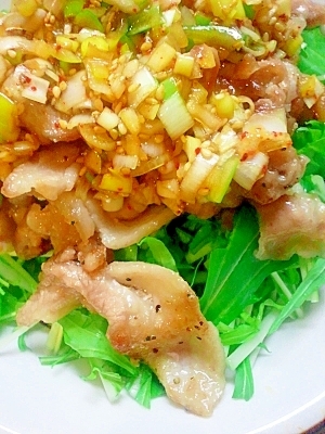 ãã®è±ã½ã¼ã¹ì ëí ì´ë¯¸ì§ ê²ìê²°ê³¼