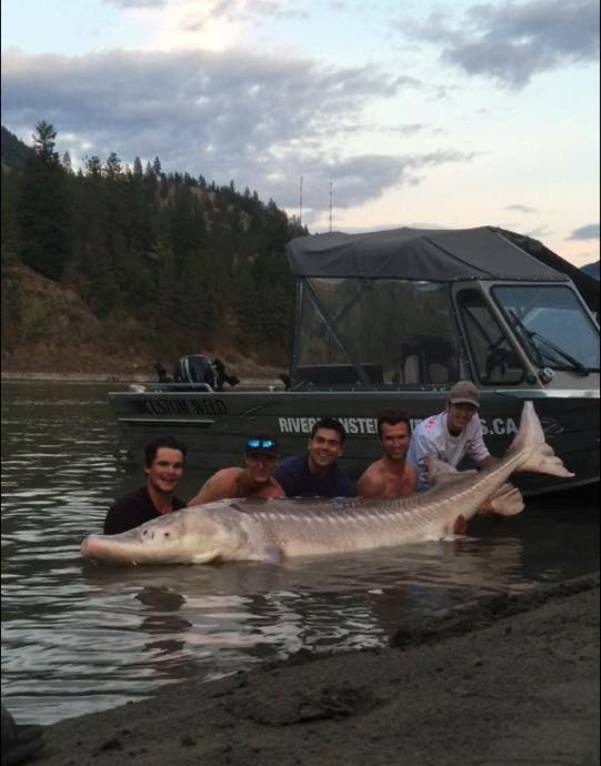 Teen Fisherman Named A Local Hero After Catching 10ft 650lb Dinosaur ...