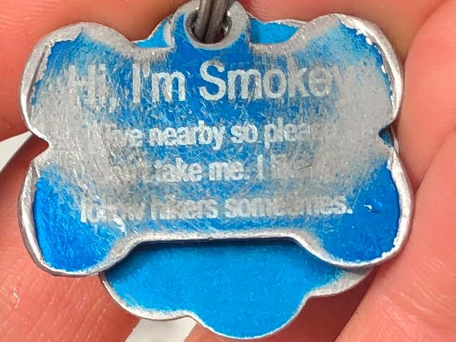 dog-accompanies-couple-on-hike-3