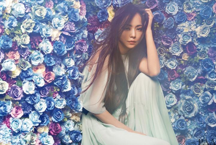 Image result for å®å®¤å¥ç¾æµã2018