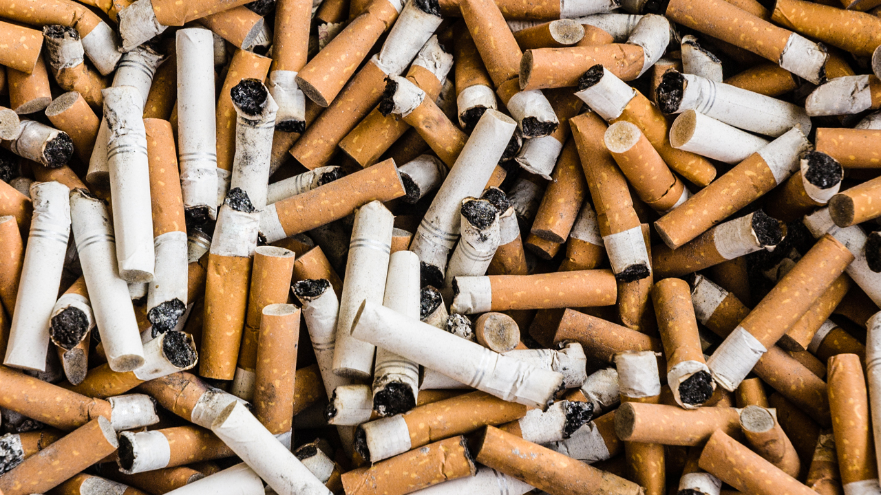 구리ì, ì êµ ìµì´ ë´ë°°ê½ì´ ìê±° ë³´ìì ... 1ê°ë¹ 10ì ë³´ì