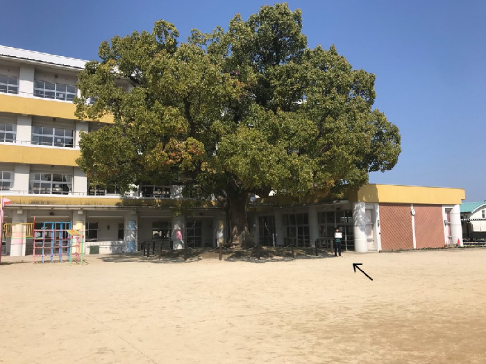 img 5ac4b15f9e03c - "8ë í ë¤ì ë§ëì"...ì½ì ì§í¤ë ¤ ëì°½íì ê° ë¨ì±ì´ ê²ªì ì¼