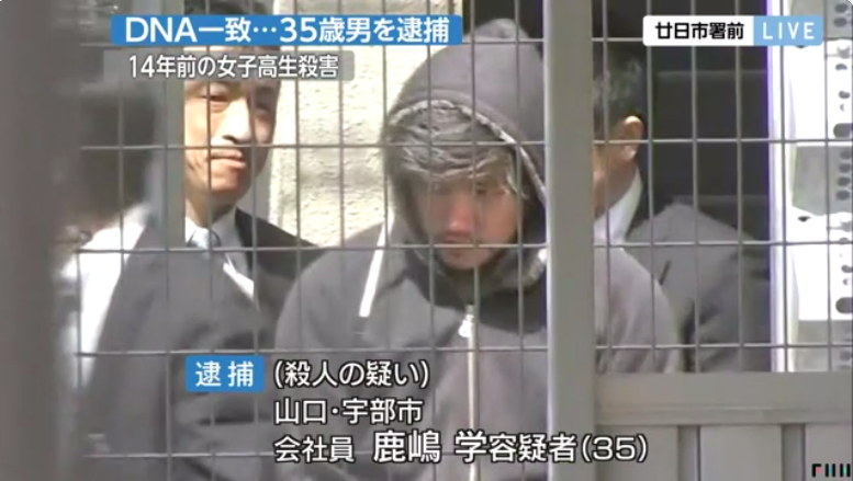 Image result for é¹¿å¶å­¦