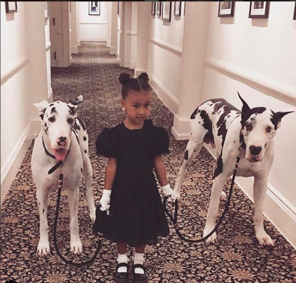 kim-kardashian-family-pic-2