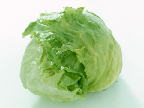 ã¬ã¿ã¹ì ëí ì´ë¯¸ì§ ê²ìê²°ê³¼