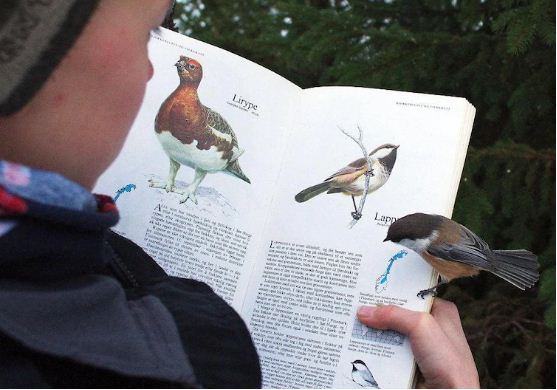 imagens misteriosas-3