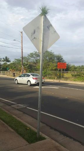 imagens misteriosas-6