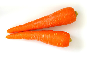 ãã³ã¸ã³ì ëí ì´ë¯¸ì§ ê²ìê²°ê³¼