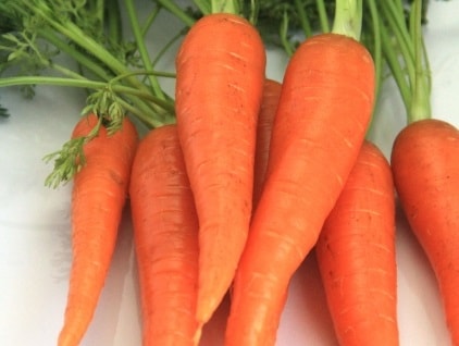 ãã³ã¸ã³ãè¦åãæ¹ì ëí ì´ë¯¸ì§ ê²ìê²°ê³¼