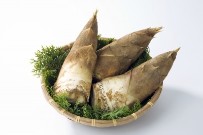 ããã®ãì ëí ì´ë¯¸ì§ ê²ìê²°ê³¼