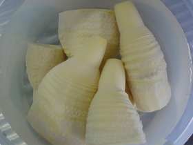 çãããæãì ëí ì´ë¯¸ì§ ê²ìê²°ê³¼