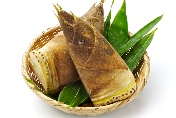 ã¿ã±ãã³ì ëí ì´ë¯¸ì§ ê²ìê²°ê³¼