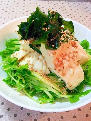 è±èã¨æ°´èã®ãµã©ãì ëí ì´ë¯¸ì§ ê²ìê²°ê³¼