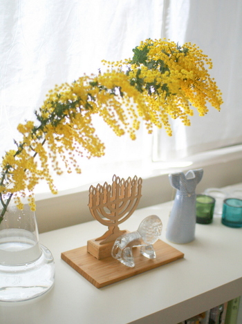 èã®é·ããã¢ã¶ãã«ããããããã®ã¾ã¾å¤§èã«çããä¾ãã¾ãã§è±ã®ãã³ãã«ã®ããããæ°ã«å
¥ãã®é貨ã¨ä¸¦ã¹ã¦æ¥½ããã§ã