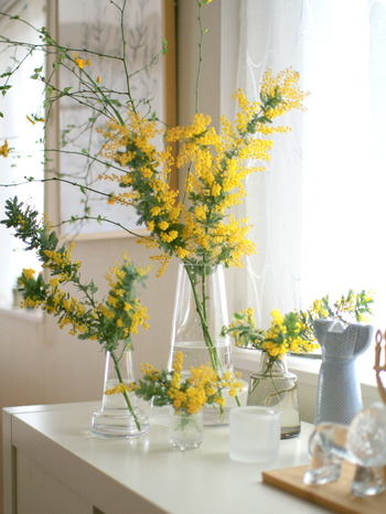 ãã¢ã¶ãçãã«ããì ëí ì´ë¯¸ì§ ê²ìê²°ê³¼