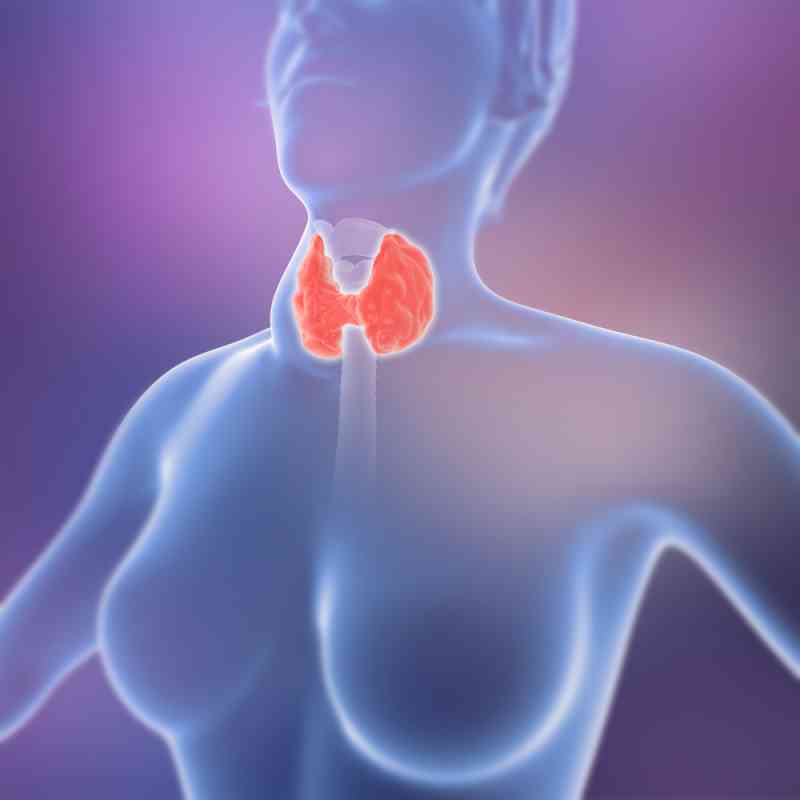 distúrbios da tireoide-1