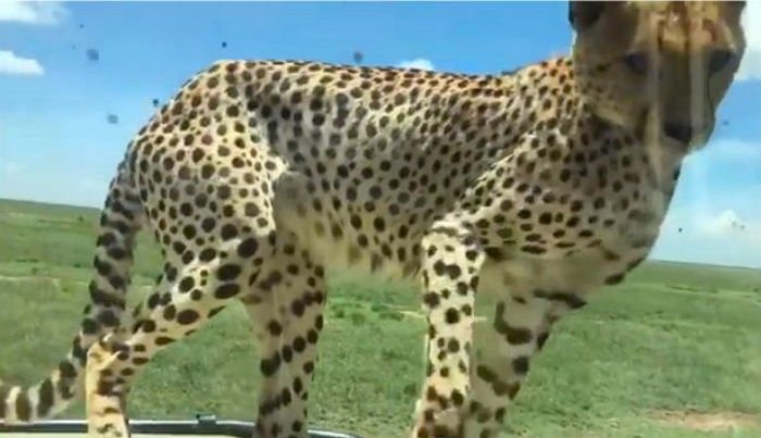 649769551es9ur8w2474 - ì
ë§ ë¤ìë©° ì°¨ì ëì
í