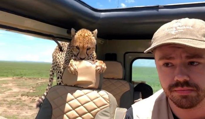 s48bm3w1g6h8yi9bb8xn - ì
ë§ ë¤ìë©° ì°¨ì ëì
í