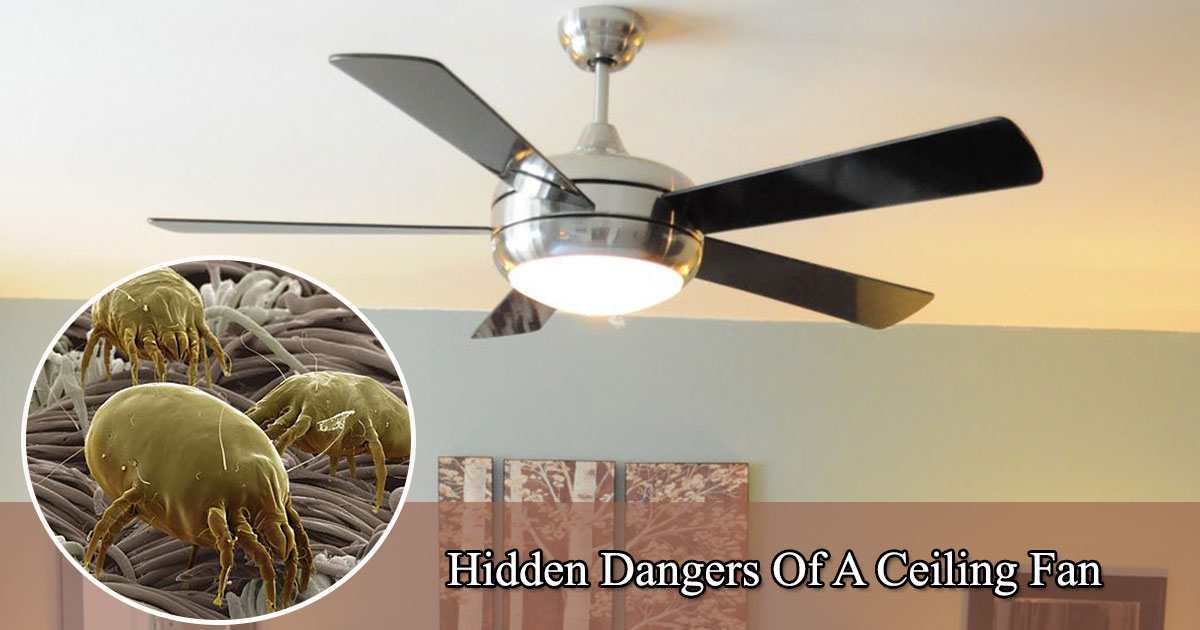 Hidden Safety Concerns Of A Ceiling Fan Things You Need To Know About Your Ceiling Fan