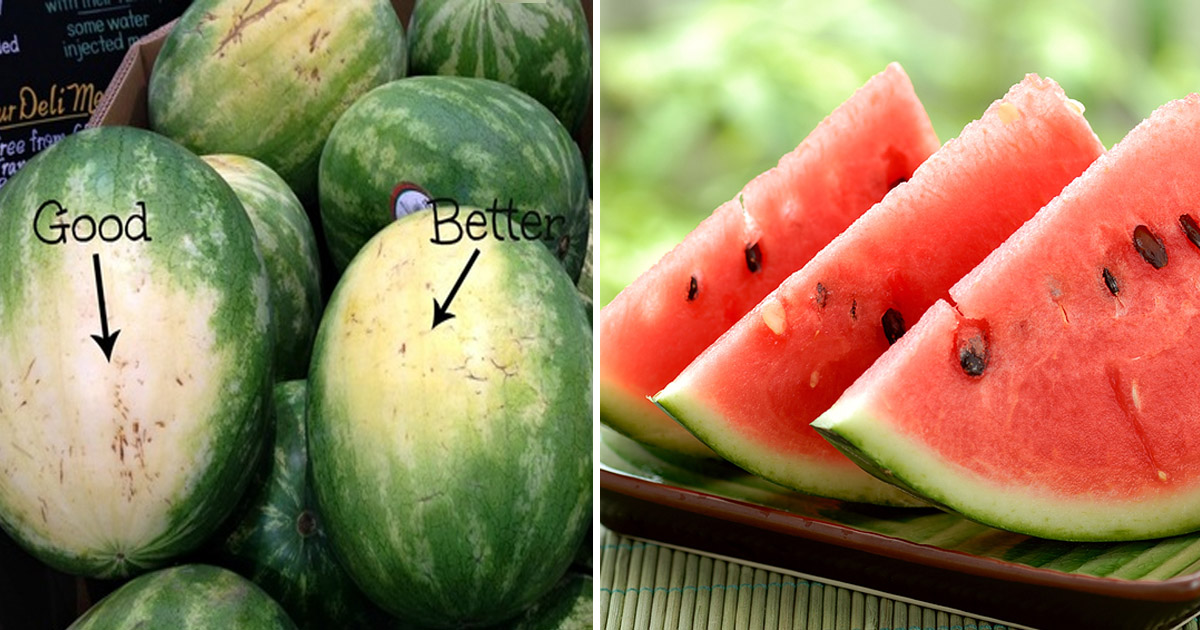 How To Pick The Perfect Watermelon: 5 Key Tips From An Experienced ...