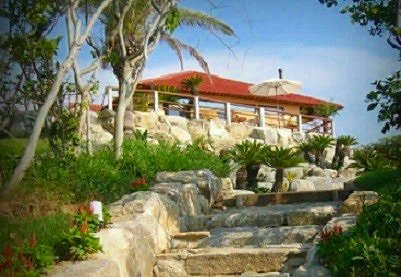 ç³¸å³¶ãBakery Restaurant CURRENTì ëí ì´ë¯¸ì§ ê²ìê²°ê³¼