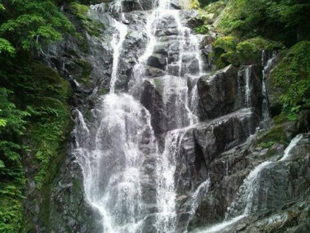 ç³¸å³¶ãç½ç³¸ã®æ»ì ëí ì´ë¯¸ì§ ê²ìê²°ê³¼