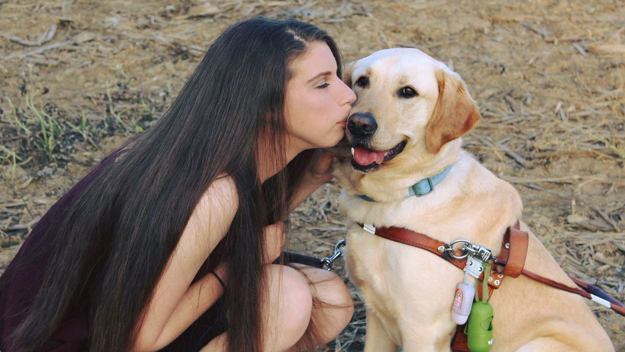 시각장애 주인을 펫샵으로 이끈 안내견