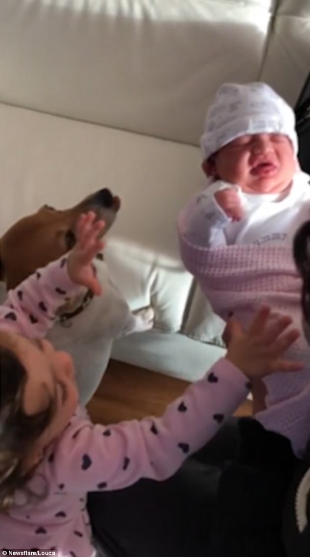 The footage, captured in the London Borough of Barnet earlier this month, shows adorable Eliana shout 