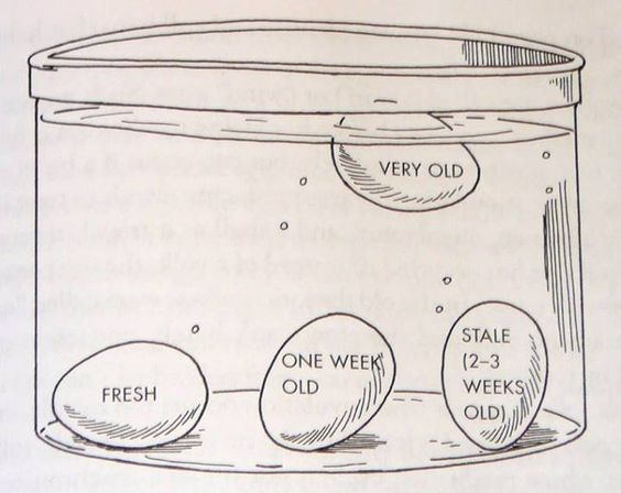 external nesting box dimension for chickens - Google Search
