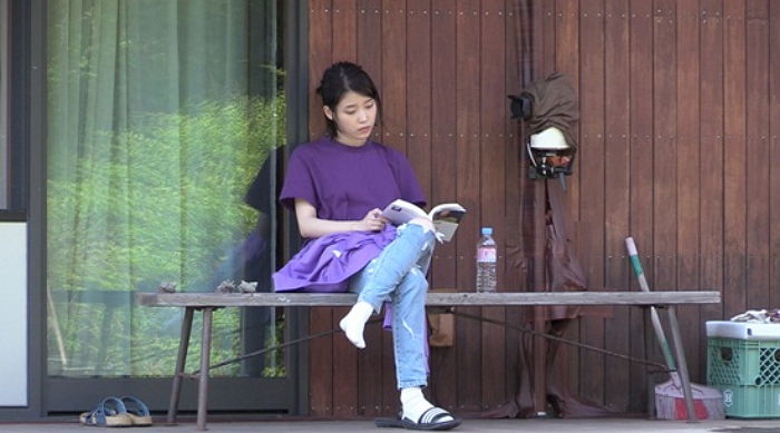 인사이트