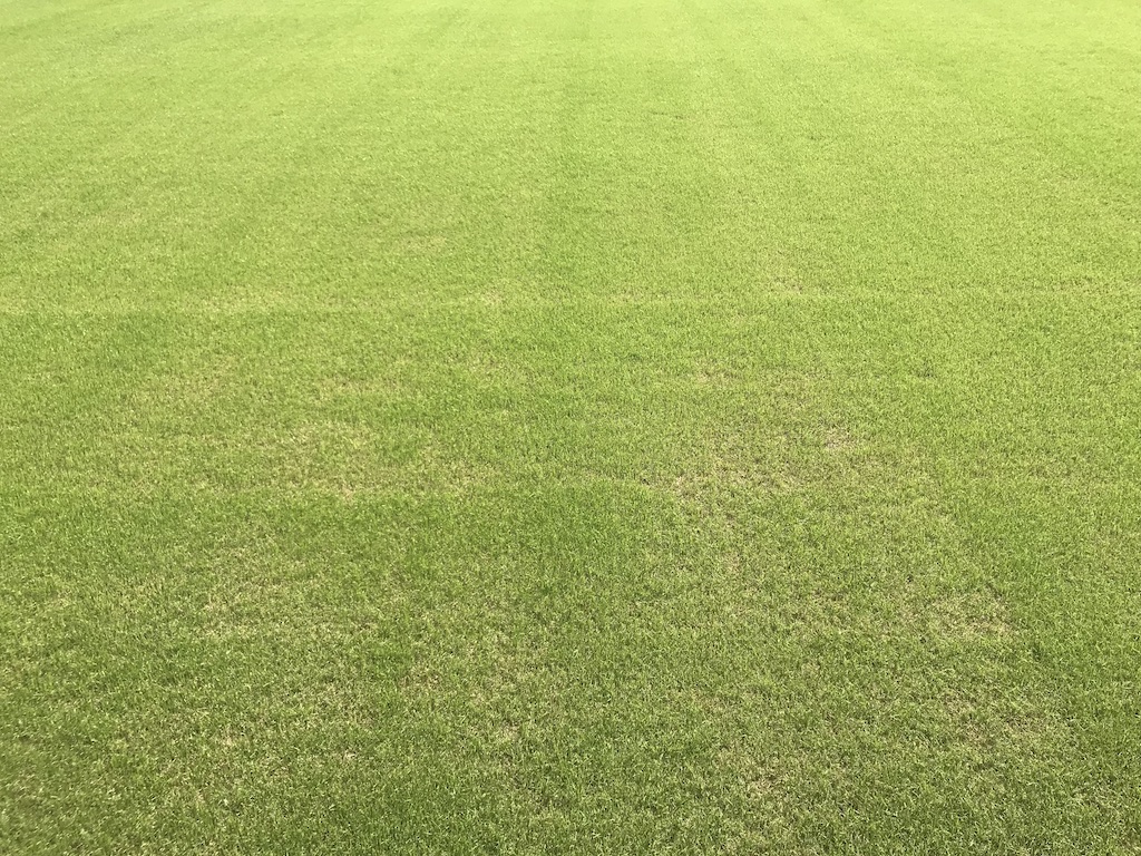 ãèçãã®ç»åæ¤ç´¢çµæ